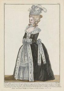 Pierre-Thomas Le Clerc - A Vision in Ermine